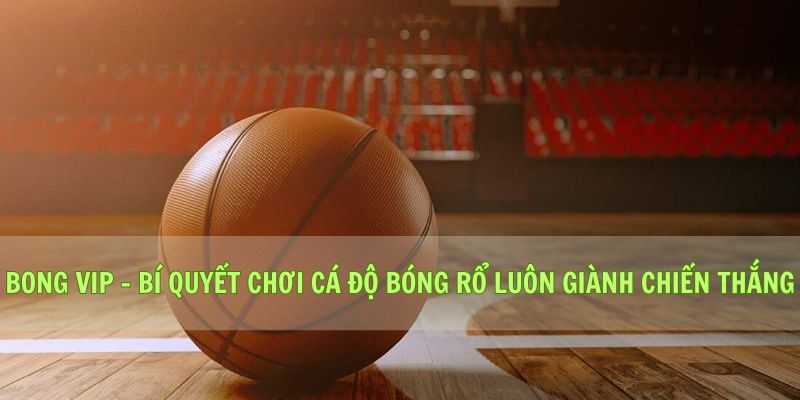 Bong Vip - Bí Quyết Chơi Cá Độ Bóng Rổ Luôn Giành Chiến Thắng